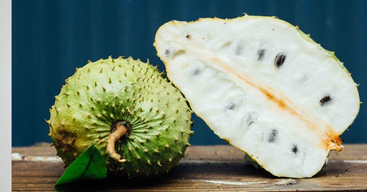 Belanda durian Durian