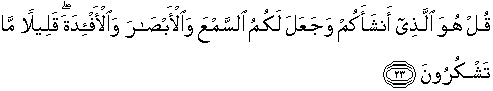 surah al-Mulk
