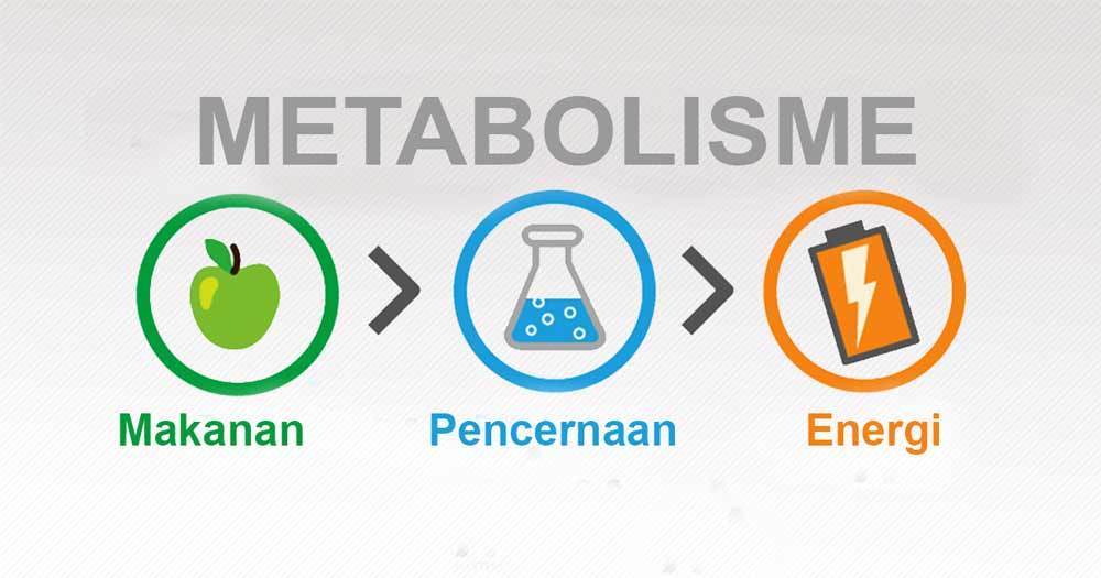 Cara-tingkatkan-metabolisme