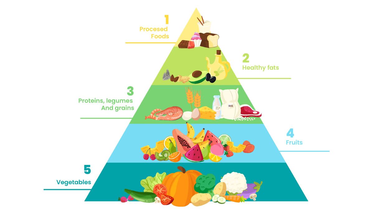 piramid makanan
