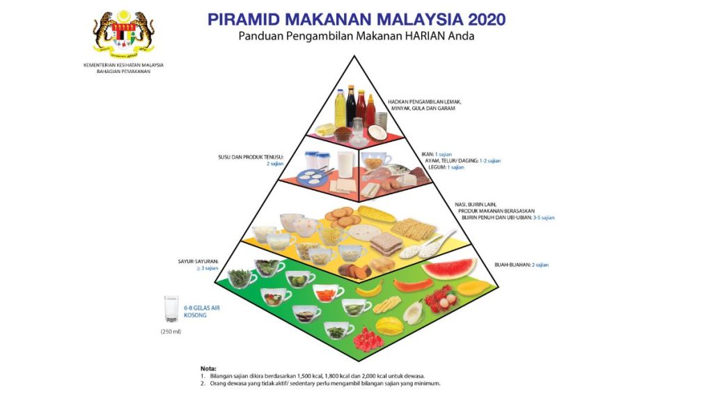 piramid makanan 