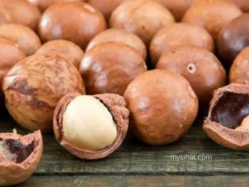 Khasiat Kacang Macadamia | Benarkah Kacang Ini Tinggi Kalori?