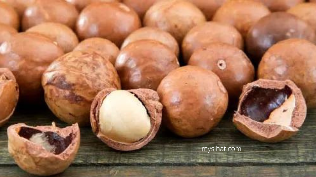 Kacang Macadamia